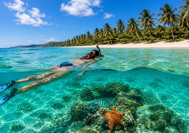 Snorkel en Playa Esmeralda: descubre la vida que habita bajo la superficie